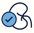 Icon of a kidney with a checkmark